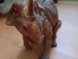 Styracosaurus