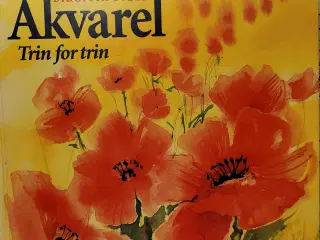 Arkvarl Birgitta Steen Og Lær at male