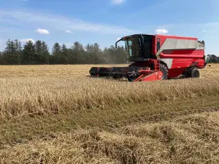 Massey Ferguson mejetærsker 22 fod. 
