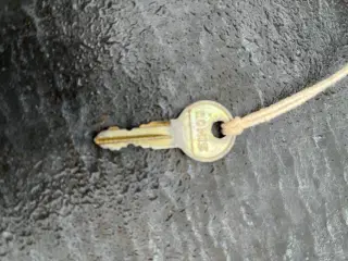 Tøgbøjler til bil med tagrende. Giv bud.