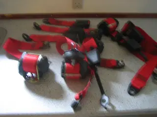 Røde sikkerhedsseler