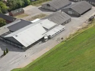 Kold lager Hal ca. 1000 m2