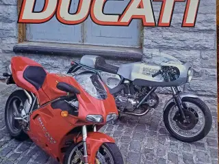 Ducatti