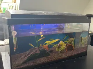 Akvarie 54L