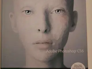 Photoshop Classroom Book, Aalborg