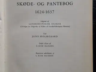 VIBORG LANDSTINGS SKØDE- OG PANTEBØGER