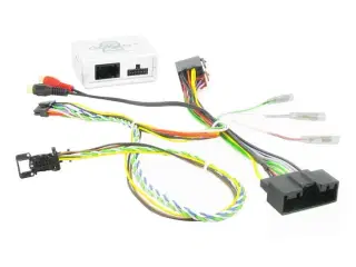 Ctsfo005.2 ratbetj.  Ford