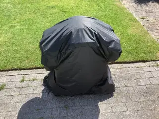 Weber Gasgrill Q3000