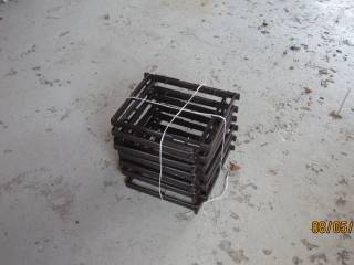  12 Stk.Plast rammer Bee Snapp. 12 X10  