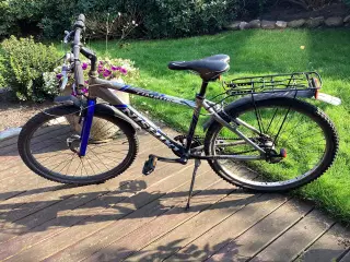 Pigecykel