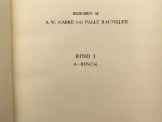 Den lille Salmonsen
