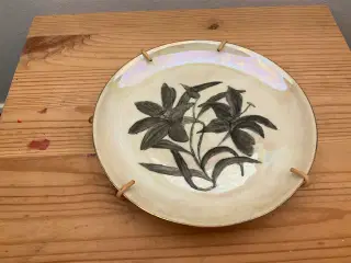 Platte