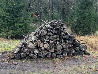 Blandet løvtræ i meterstykker