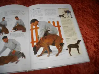 Håndbog i hundeopdragelse, Bruce Fogle