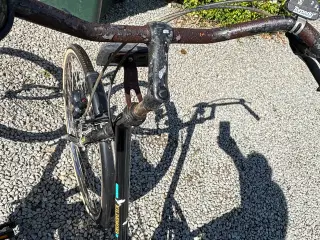 Cykel kildemoes