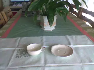Rosenthal Porcelænskop med underkop