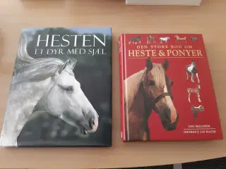 Flotte Bøger om HESTE.