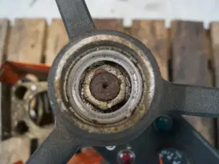 Dronningborg D1900 Ratstamme