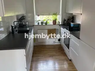 Hjembytte - Banevænget