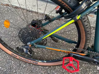 29" MTB Focus Whistler SL fra 2019