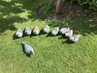 9 Lokkeduer