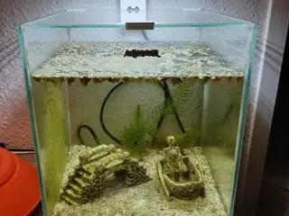 Akvarie med indhold 