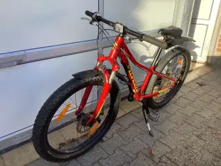 Mountainbike 