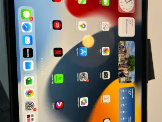 iPad Pro, 5 gen, 12,9 tommer, 256 gb, cellular 