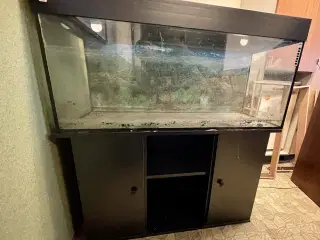 Akvarie m. Bord 