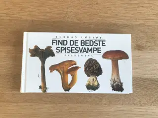 Find de bedste spisesvampe
