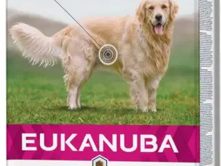 Hundefoder 