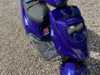 PGO Hot 