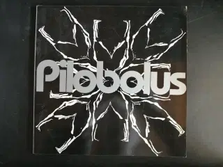 pilobolus, photographs by tim matson, emne: kunst 