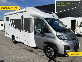 2026 - Carado