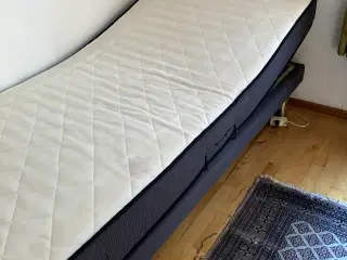 Elevationsseng