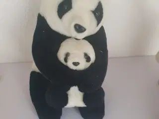 Panda med unge