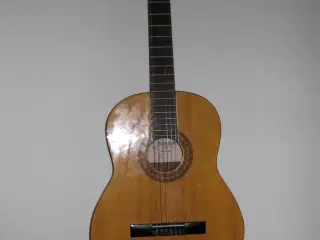 akustisk guitar