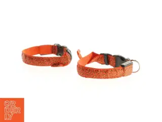 Røde hundehalsbånd (str. 40 cm m) med blinkende rødt lys som kan tændes og slukkes