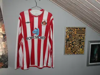 Sunderland fra sæsonen 2009/10