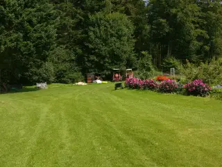 undulater fra i sommer i flere farver