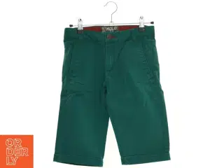 Shorts fra Molo (str. 146 cm)