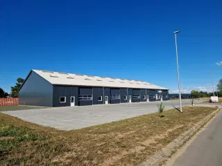 125m2 Lager/opbevaring/depot til leje i Odense sø