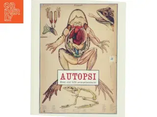 Autopsi af Kristina Ask (Bog)