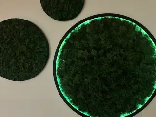 Mos billede med LED
