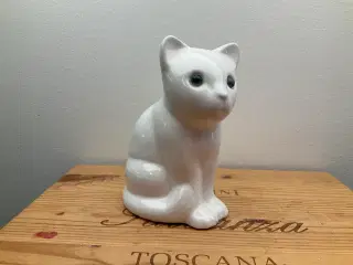 Kat