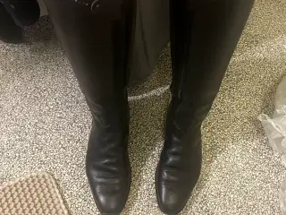 Cavallo Grand prix plus dressur