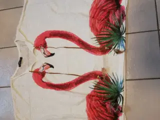 Flagermus-sider, Flamingoer og Bindesnor