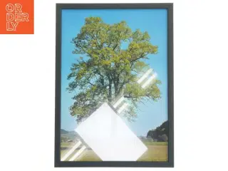 Træbillede i ramme fra Posterland (str. 32x44 cm)