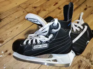 Ishockeyskøjter Bauer Nexus 3000 Str. 42