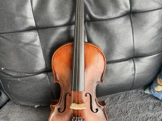 Violin